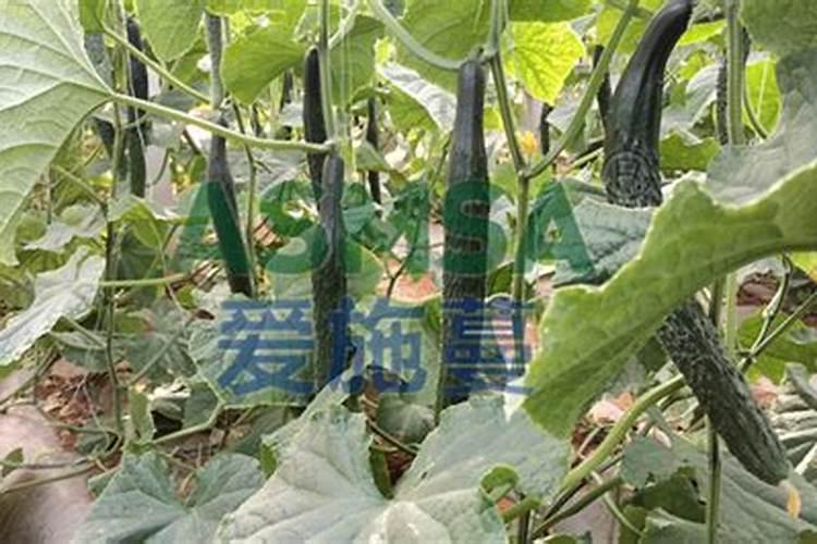 耐烧粉真能增加燃烧时间吗