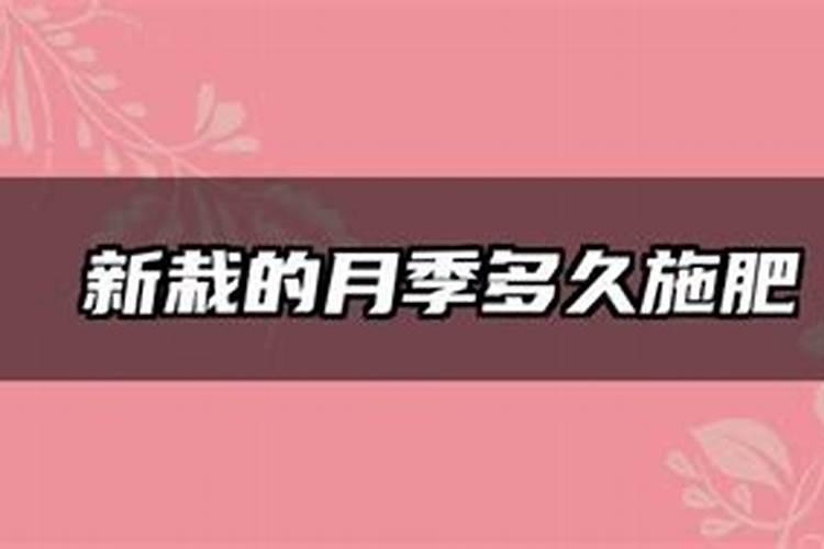 结香花如何使用