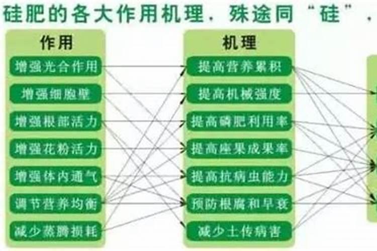 磷肥用于什么农作物 附使用方法