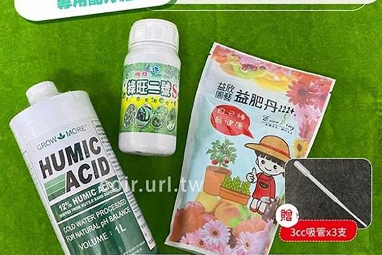 油茶专用肥站稳脚跟不容易