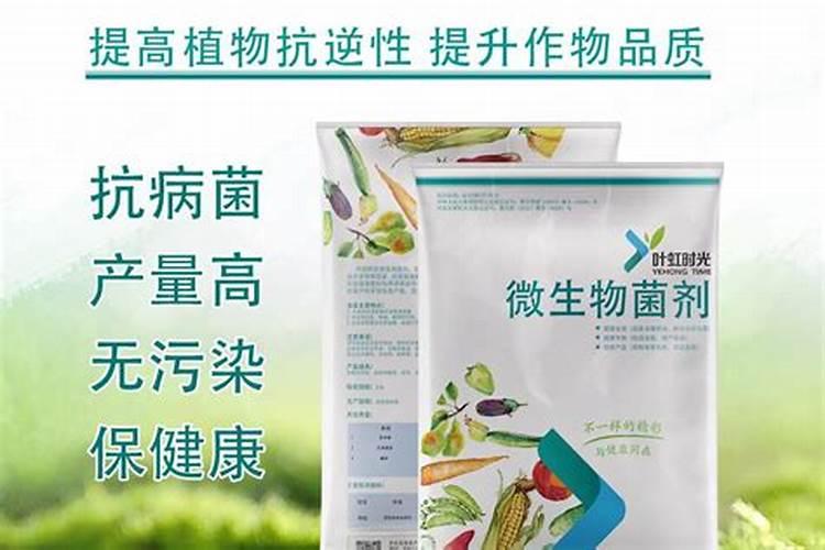 磷肥和钾肥的作用分别是什么
