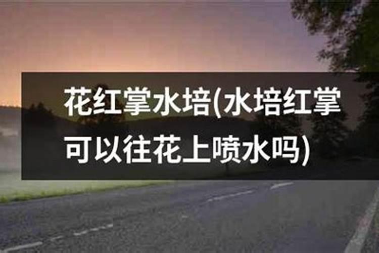 花卉叶面肥使用方法 叶面肥喷叶子正面还是背面