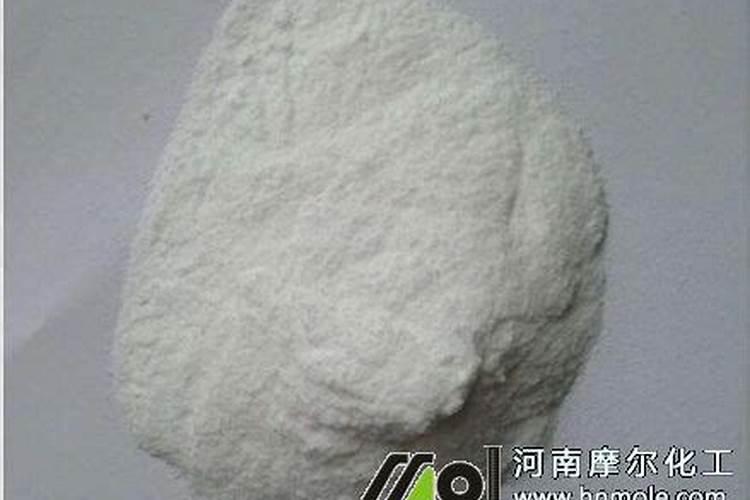 多肉赤兔水泡怎么养 多肉赤兔水泡如何养