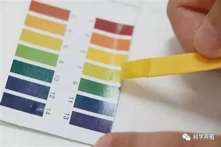 自制水溶肥配比表,水溶肥如何使用