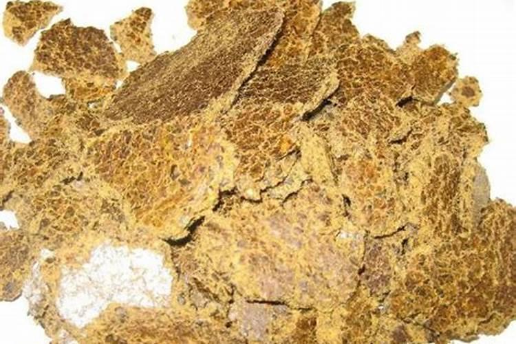 菜饼和棉籽饼能在枣树上施肥吗？