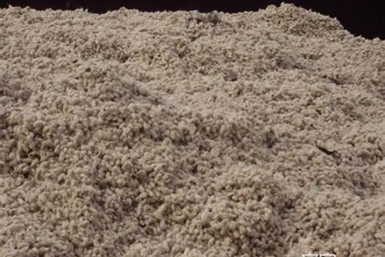 大蒜追肥用什么肥料