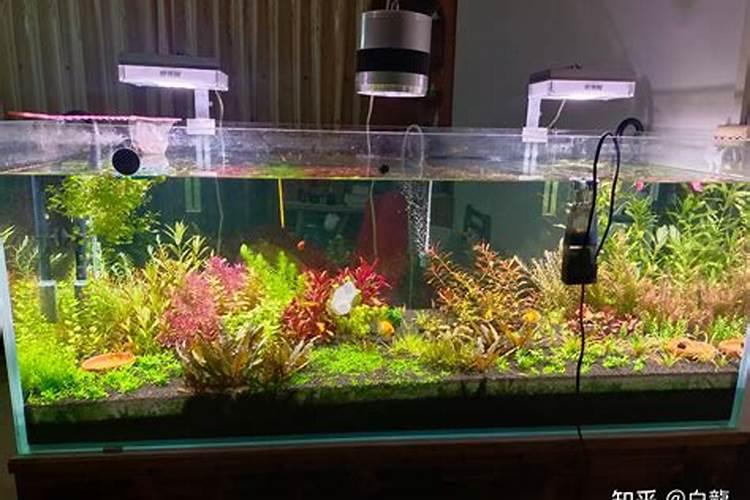 芸苔素内酯水稻使用量