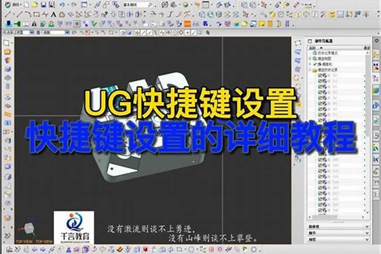 丽格海棠盆栽,冬天养殖你知道有哪些禁忌吗？