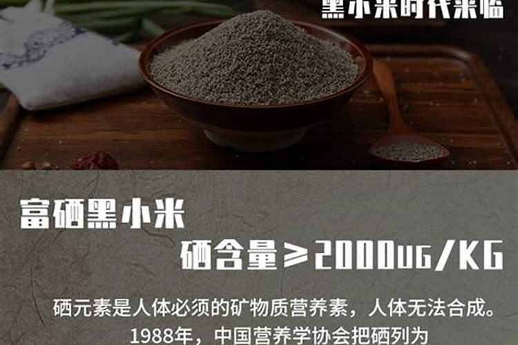 灰枣灰枣早产丰产栽培技术