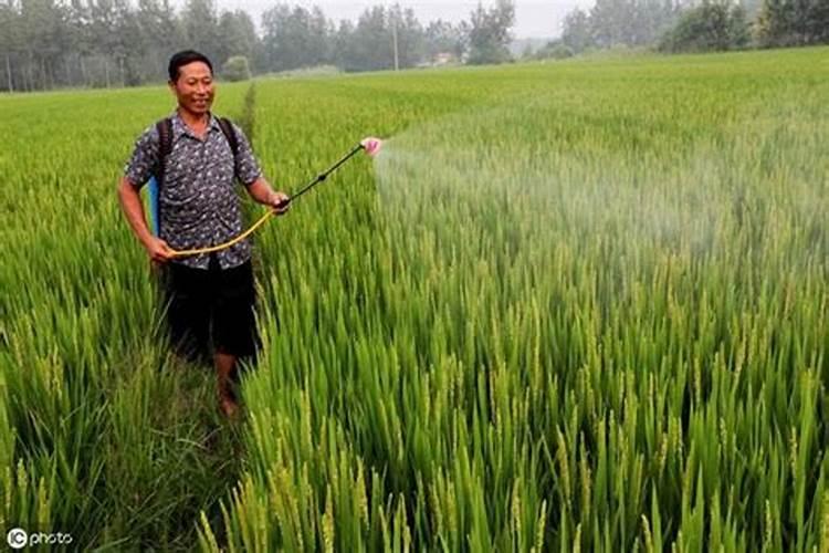 1喷雾器水加多少尿素、硫酸钾好