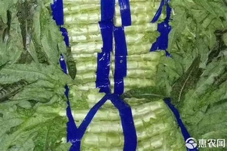 水溶肥价格多少钱一吨