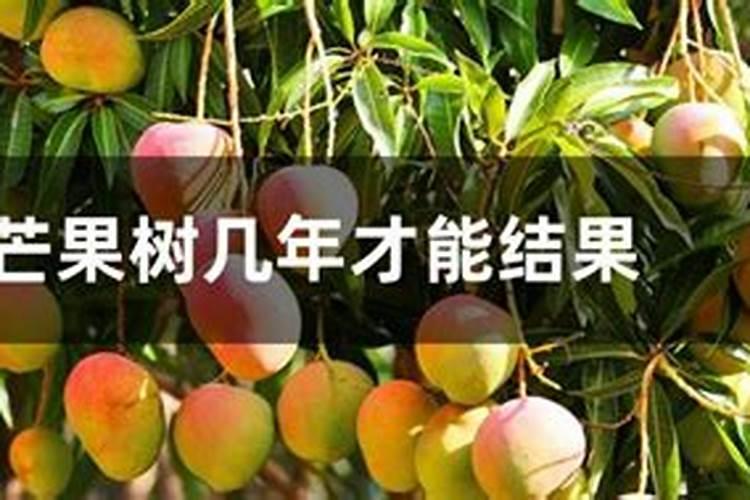 自然发酵三个月羊粪能不能用