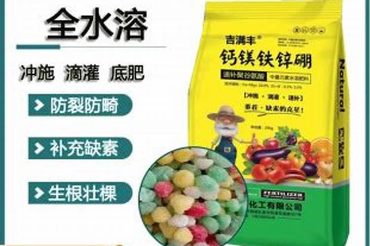 怎样使树木生根？