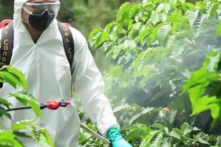 丝瓜大约什么时候下种？什么时侯搭架？什么时侯开出第一朵花？