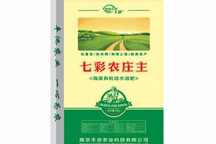 贵州兴义市有番茄树吗？