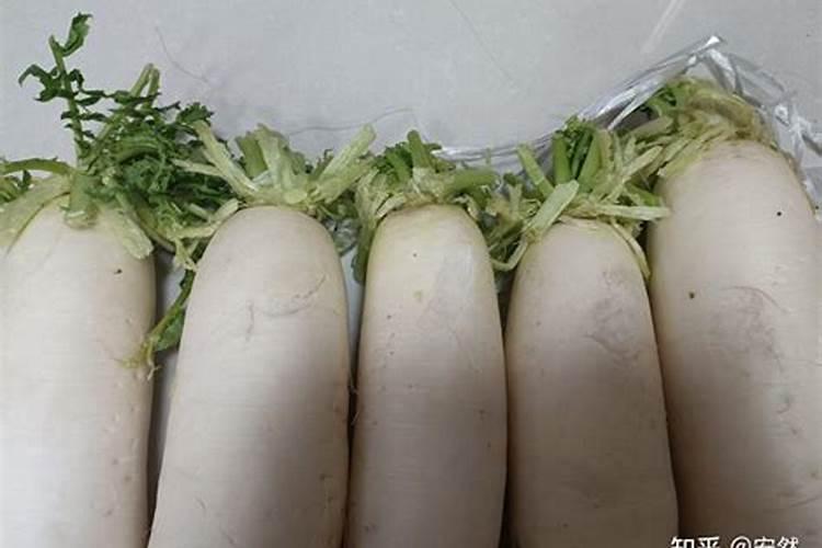 青菜用什么肥料最好