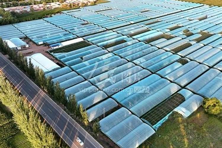 种蔬菜用什么肥料