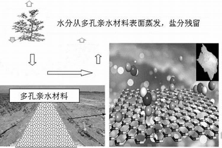 高浓度硫酸钾复合肥`鲁酉根际肥″多少钱一吨？