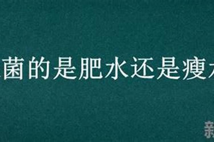 水产养殖户应该如何做好水体的藻菌调控工作？