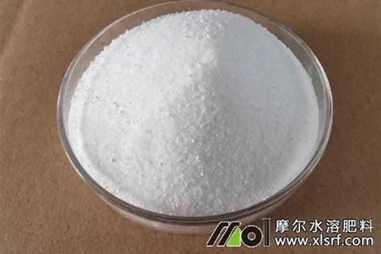 柚子树最怕什么