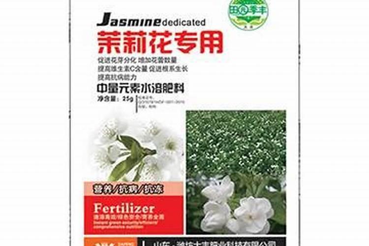 茉莉花施什么肥最好 适合用什么肥料