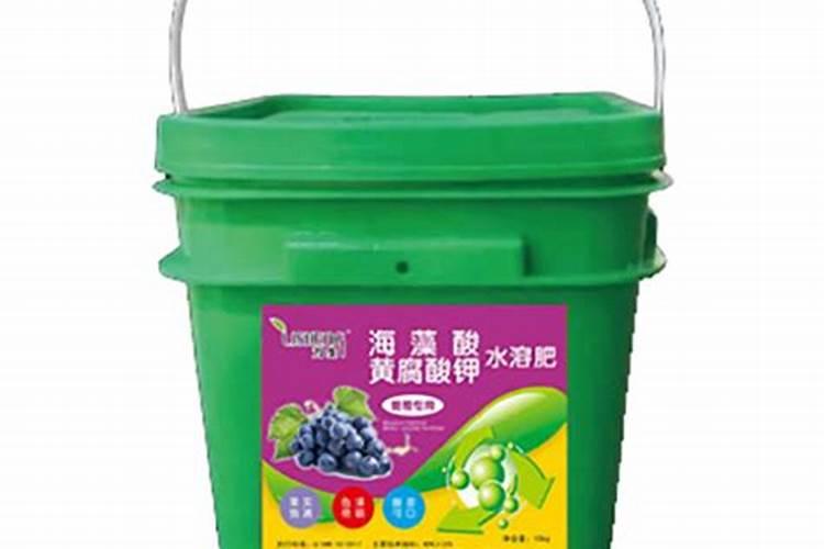 水培花卉如何施肥