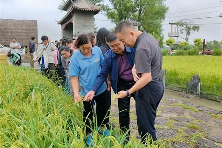 水溶肥价格都不一样,效果一样吗？