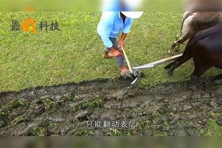 开荒地用什么化学肥料