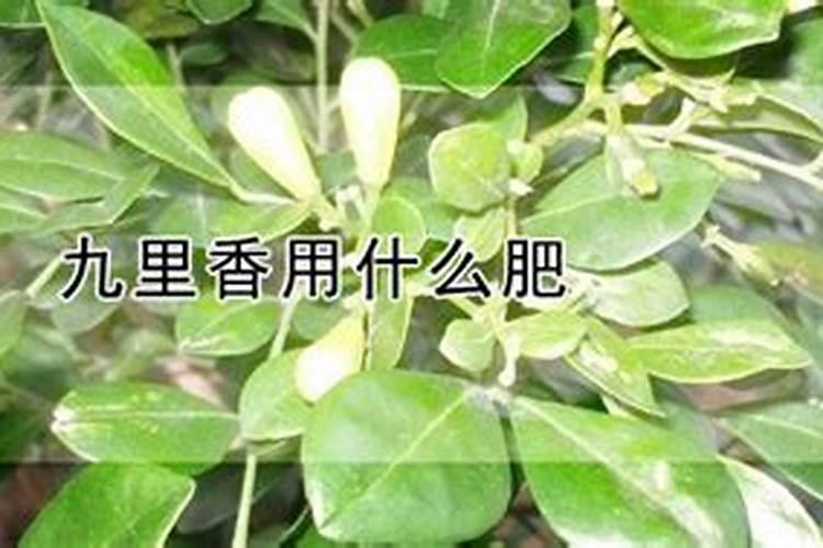 钾肥的作用 钾肥简介