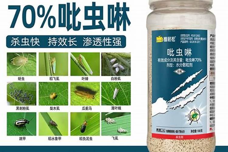 豆角蓟马害虫,用什药好？可否混合叶面肥或抑菌剂时喷施？谢