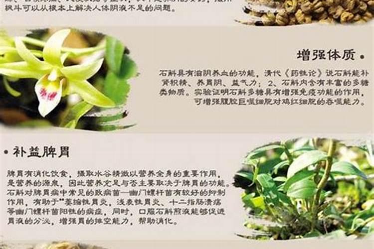 关于紫皮石斛使用的规定