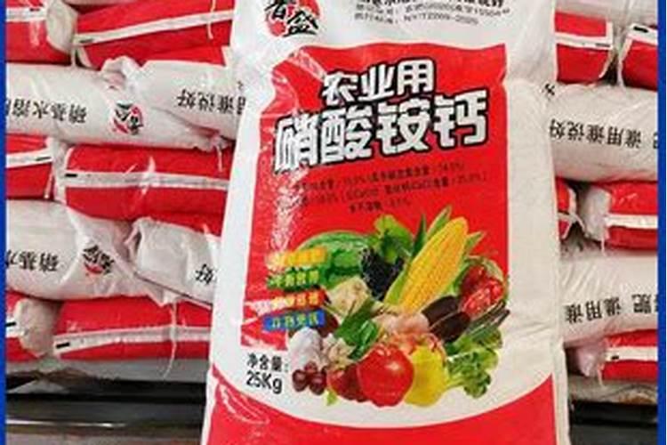 长寿花施肥方法,用什么肥好