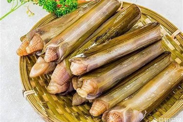 养殖蛏子做肥水怎样做比较好？