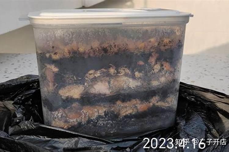速绿120叶面肥效果怎么样