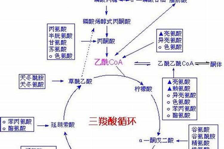 鸡蛋壳真的能吃吗？