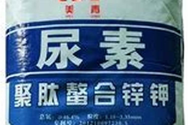 水泥为什么会长草