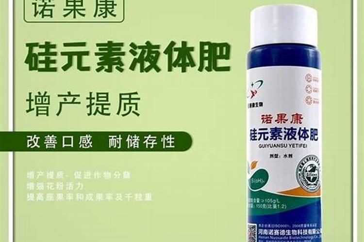 水稻和小麦区别 如何区分两者