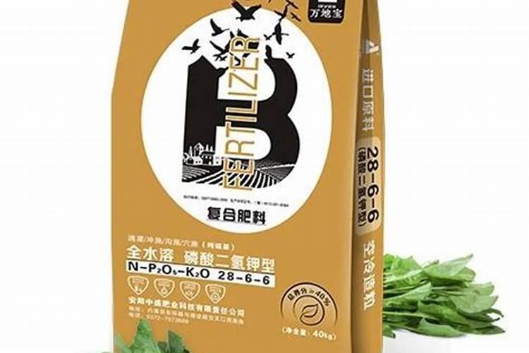 树苗防冻好方法
