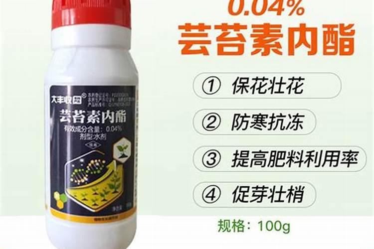 沙糖桔清园用什么药