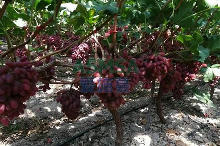 山西新天源医药化工有限公司山西新天源医药化工有限公司简介
