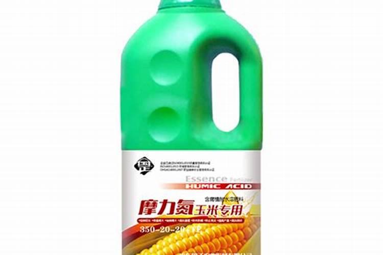 阎黎明人物简介