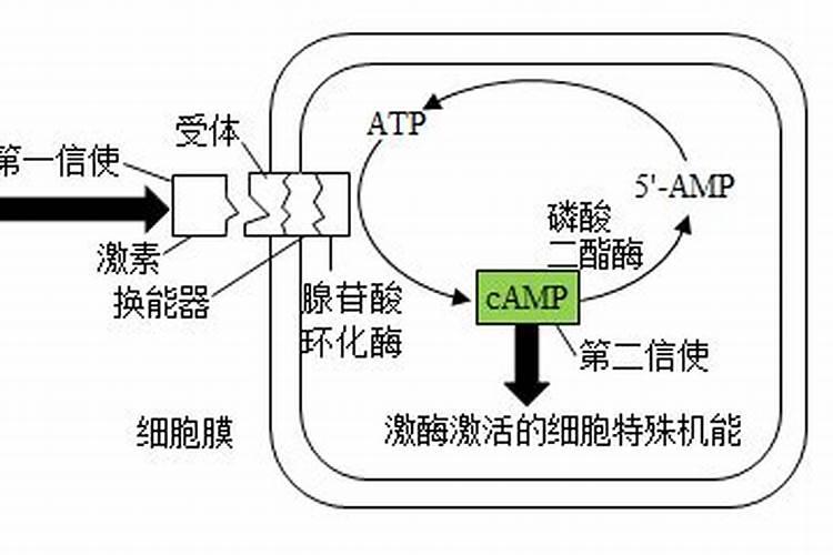 植物所需的三大营养元素为