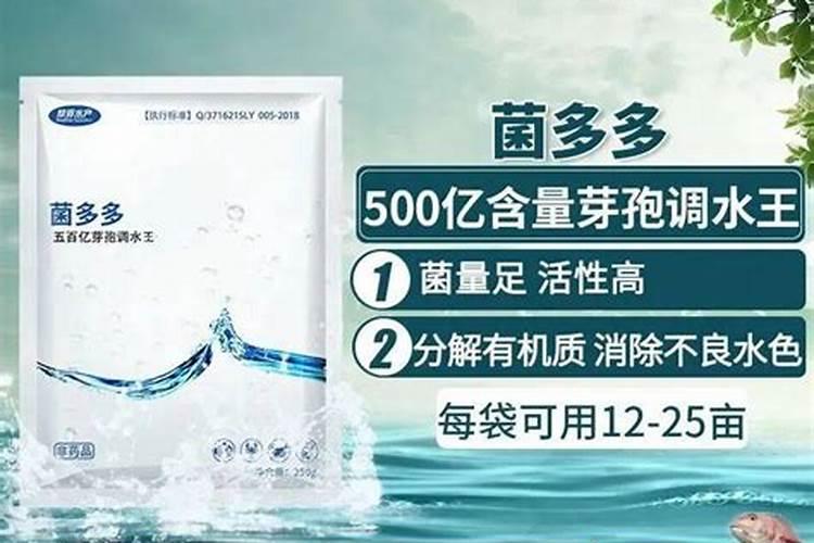 养花多久施一次肥？