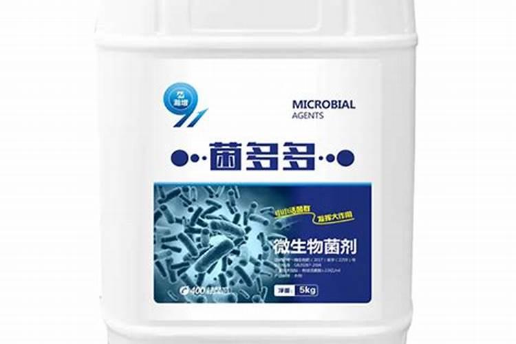 盐碱地土壤的植物喷施什么