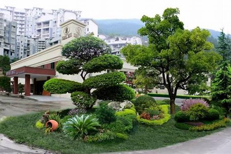 园林植物施肥应注意的事项有哪些