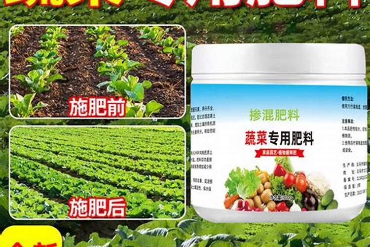 水培富贵竹能放几粒复合肥吗
