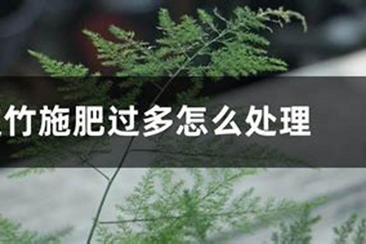 金钱树没有根能活吗