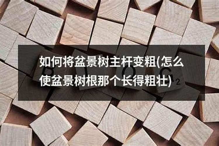 鱼腥草嫩叶种植技术,怎么才能让叶片红,杆子粗壮？