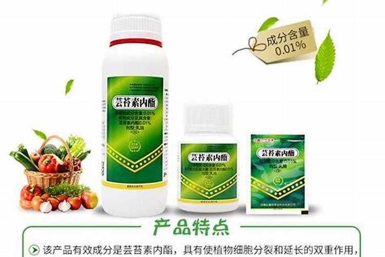 苔芸素可以施土吗？