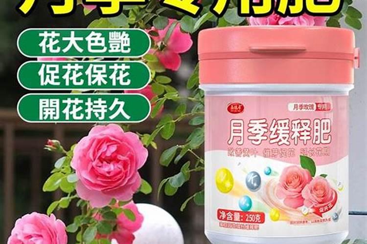 养花专用肥料配方(玫瑰花用什么肥料)